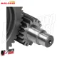 MF5662 Ingranaggi Secondari Malossi HTQ Z17/49 Aprilia SR MAX 125 da 2011 a 2014