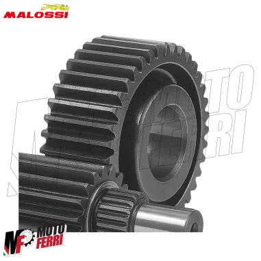 MF6236 Ingranaggi Secondari Malossi HTQ Z17/37 per Piaggio X9 250 MOTORE HONDA
