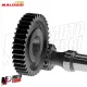 MF6022 Ingranaggi Primari Malossi HTQ Z20/46 per Aprilia Leonardo 125 150 4T