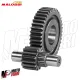 MF4393 Ingranaggi Secondari Malossi HTQ Z15/41 Piaggio Skipper LX LXT 125 150 2T