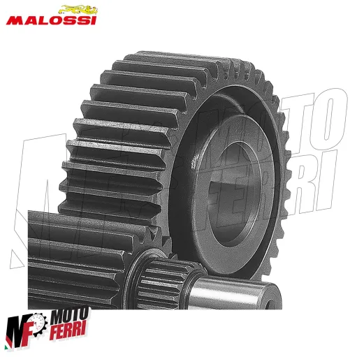 MF5731 Ingranaggi Secondari Malossi HTQ Z17/41 Honda Pantheon 125 150 2T