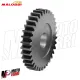 MF4606 Ingranaggi Primari Malossi HTQ Z14/34 ITALJET Formula 50 2T Motore MORINI