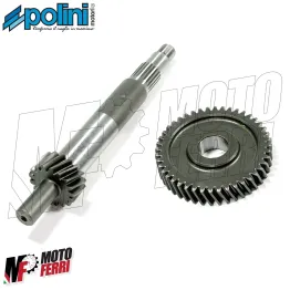 MF1893 INGRANAGGI PRIMARI Z 17-44 POLINI LEADER PIAGGIO VESPA 125 150 200 4T 2