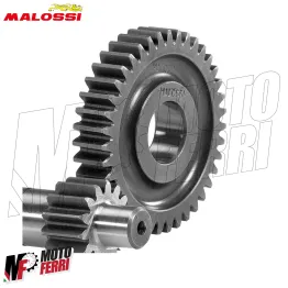 MF4224 Ingranaggi Primari Malossi HTQ Z14/39 Gilera Runner Purejet / SP 50 2T 2