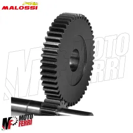 MF2257 Ingranaggi Primari Malossi HTQ Z14/48 Aprilia Scarabeo / SR Motard 50 2T 2