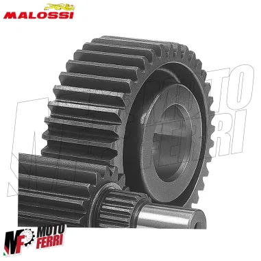 MF3301 Ingranaggi Secondari Malossi HTQ Z14/43 per Yamaha Majesty 125 4T