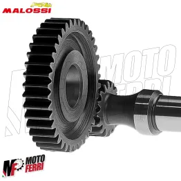 MF4516 Ingranaggi Primari Malossi HTQ Z15/41 per Malaguti F10 WAP 50 2T 2