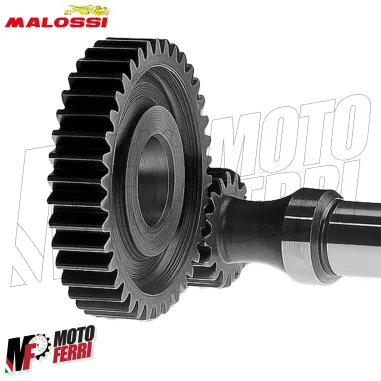 MF4516 Ingranaggi Primari Malossi HTQ Z15/41 per Malaguti Yesterday 50 2T