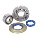 MF1907 KIT CUSCINETTI BANCO ALBERO MOTORE POLINI PARAOLI VESPA 125 150 200 PX