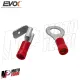 MF4312 Condensatore Esterno EVOK per Accensione a Puntine Piaggio Si Ciao Bravo