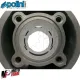 MF1928 Cilindro Polini 80cc DM 50 Minarelli AM345 AM6 TZR DT HM Fantic RS CRE MX