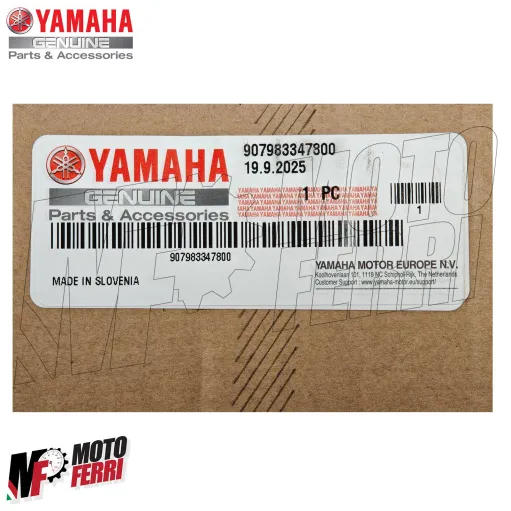 MF9236 Marmitta Yamaha XMax 300 2025 E5+ Akrapovic Terminale Slip On Omologato
