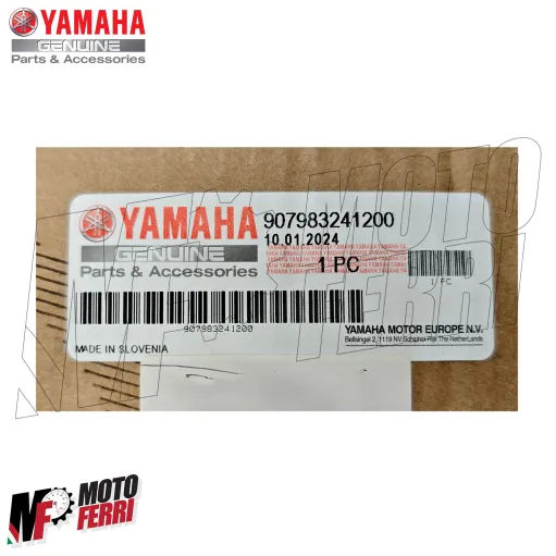 MF9251 Marmitta Akrapovic Yamaha MT-09 2024 2025 Titanio Omologata