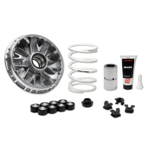 MF9254 Variatore Malossi Zontes 350D 350E 2025 E5+ Multivar 2000