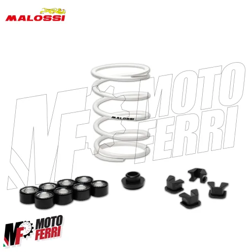 MF9254 Variatore Malossi Zontes 350D 350E 2025 E5+ Multivar 2000