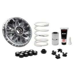 MF9254 Variatore Malossi Zontes 368D 368E 368G 2025 E5+ Multivar 2000