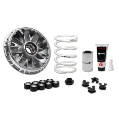 MF9254 Variatore Malossi Zontes 368D 368E 368G 2025 E5+ Multivar 2000