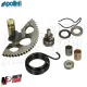MF9299 Kit Ingranaggi Messa in Moto Polini per SR RUNNER STALKER NRG ZIP 50 2T