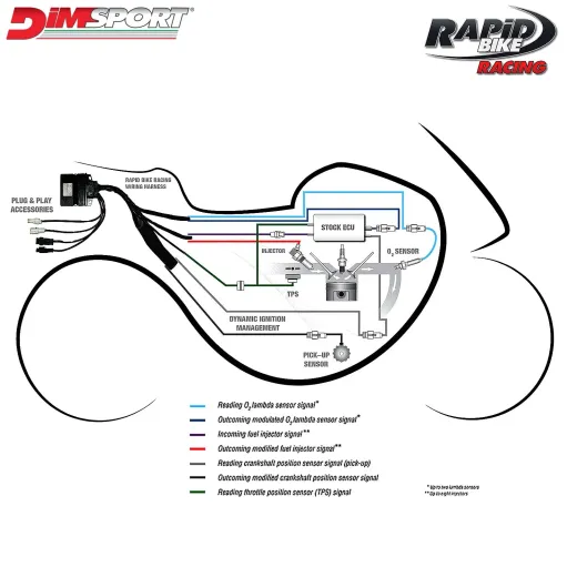 MF1998 Centralina Aggiuntiva Rapid Bike Racing Cablaggio TMax 560 2020 / 2021