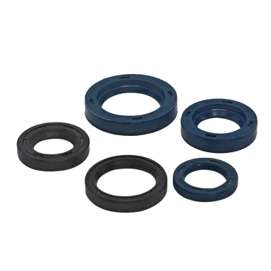 MF9384 Serie Paraoli Motore Con Variatore Piaggio 50 SI CIAO BRAVO BOXER