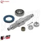 MF9480 Kit Revisione Asse Ruota Posteriore Piaggio Liberty NRG RST MC2 50 2T