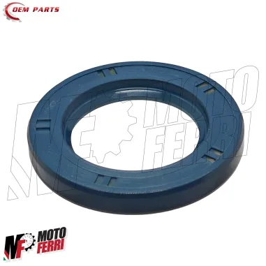MF9480 Kit Revisione Asse Ruota Posteriore Piaggio ZIP FAST RIDER RST SP 50 2T
