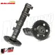 MF2705 Albero a Camme Double Power Cam MHR Malossi Yamaha TMax 530 2012 - 2019