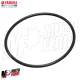 MF9539 Anello O-Ring Correttore di Coppia Yamaha TMax 500 530 560 da 2001 a 2025