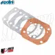 MF5743 Kit Cilindro Polini 4P DM 47 Ghisa Spinotto 12 Piaggio CIAO SI BRAVO