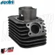 MF5743 Kit Cilindro Polini 4P DM 47 Ghisa Spinotto 12 Piaggio CIAO SI BRAVO
