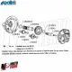 MF3031 Carter Ingranaggi Polini Piaggio Si Ciao Bravo Boss 50 con Variatore