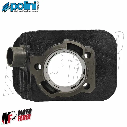 MF3770 Kit Cilindro Polini Racing Dm 43 Spinotto 12 Piaggio Si Bravo in Ghisa