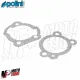MF3770 Kit Cilindro Polini Racing Dm 43 Spinotto 12 Piaggio Si Bravo in Ghisa