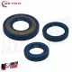 MF1744 Kit Paraoli e ORing Corteco Blu VESPA 50 125 PK XL N RUSH FL Volano 20
