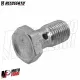 MF9628 Bullone Vite 1 Foro M10x1 Banjo Pompa Freno ACCOSSATO BREMBO RCS BRAKING
