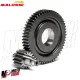 MF3663 Ingranaggi Secondari Malossi 15 / 55 Vespa Primavera 50 iGet 2021 / 2025