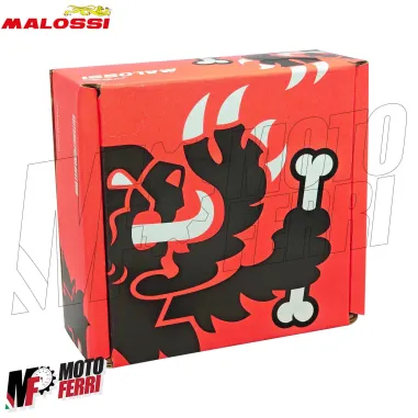 MF0162 Frizione e Campana Malossi MBK Nitro Ovetto 50 2T Fly System DM 107