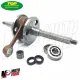 Albero Motore TOP PERFORMANCE + Cuscinetti e Paraoli Piaggio Liberty 50 2T