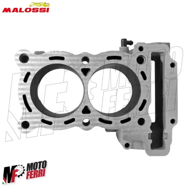 MF4325 Cilindro Malossi Yamaha TMax 500 da 2004 a 2011 Modifica a 560 cc DM 70