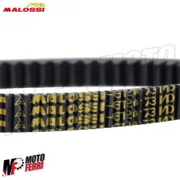MF2969 Cinghia Malossi Vespa GTS 310 Super Sport Tech 2025 2026 E5+ X K Belt 2