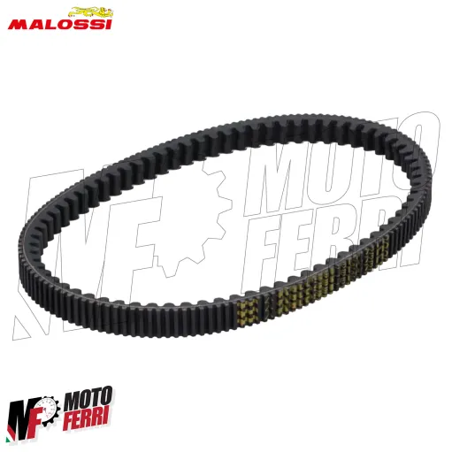 MF2969 Cinghia Malossi Vespa GTS 310 Super Sport Tech 2025 2026 E5+ X K Belt