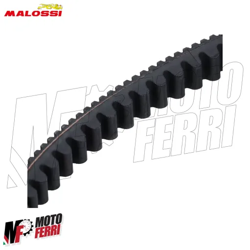 MF9737 Cinghia Malossi Piaggio MP3 310 Sport 2025 2026 E5+ X K Belt LC