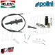 MF2141 KIT STARTER ARIA A FILO +  KIT COMANDO MANUALE CARBURATORE PHBG 19 - 21