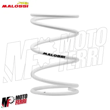 MF3503 Molla Contrasto Variatore Malossi Bianca Honda SH I 300 da 2007 a 2020