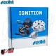 MF9684 Accensione Elettronica Polini For Race con LUCI Piaggio ZIP SP 50 2T H20