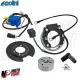 MF9685 Accensione Digitale PVL Polini Aprilia SR FACTORY 50 2T LC Motore Piaggio
