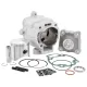 Cilindro Malossi 172 DM 65 Piaggio Hexagon LX LXT 125 150 180 2T Gruppo Termico