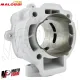 Cilindro Malossi 172 DM 65 Piaggio Hexagon LX LXT 125 150 180 2T Gruppo Termico