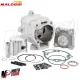 Cilindro Malossi 172 DM 65 Piaggio Hexagon LX LXT 125 150 180 2T Gruppo Termico
