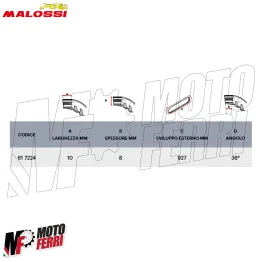 MF0813 Cinghia Trasmissione Malossi Piaggio CIAO PX X Special Belt Puleggia D.70 2